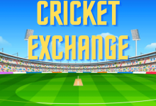 what-is-cricket-exchange?-a-complete-guide