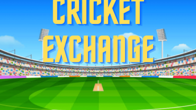 what-is-cricket-exchange?-a-complete-guide