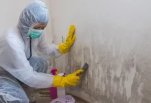 mold-remediation-and-how-to-avoid-long-term-damage