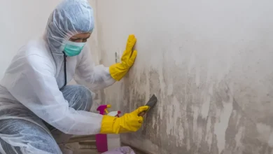 mold-remediation-and-how-to-avoid-long-term-damage