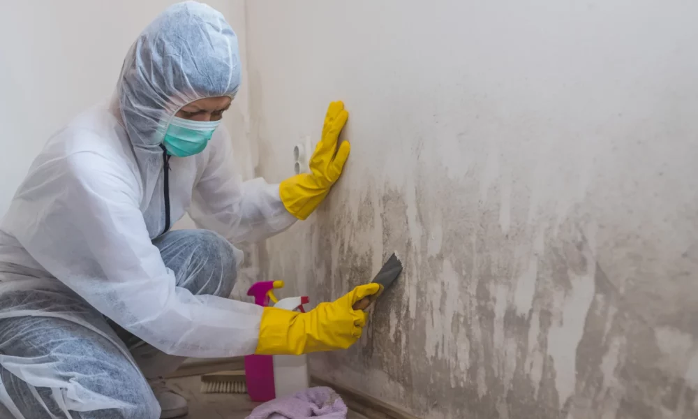 mold-remediation-and-how-to-avoid-long-term-damage